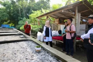 Dengan Teknik Air Jernih, Pemuda Desa di Banyuwangi Raup Omset Ratusan Juta dari Budidaya Lele