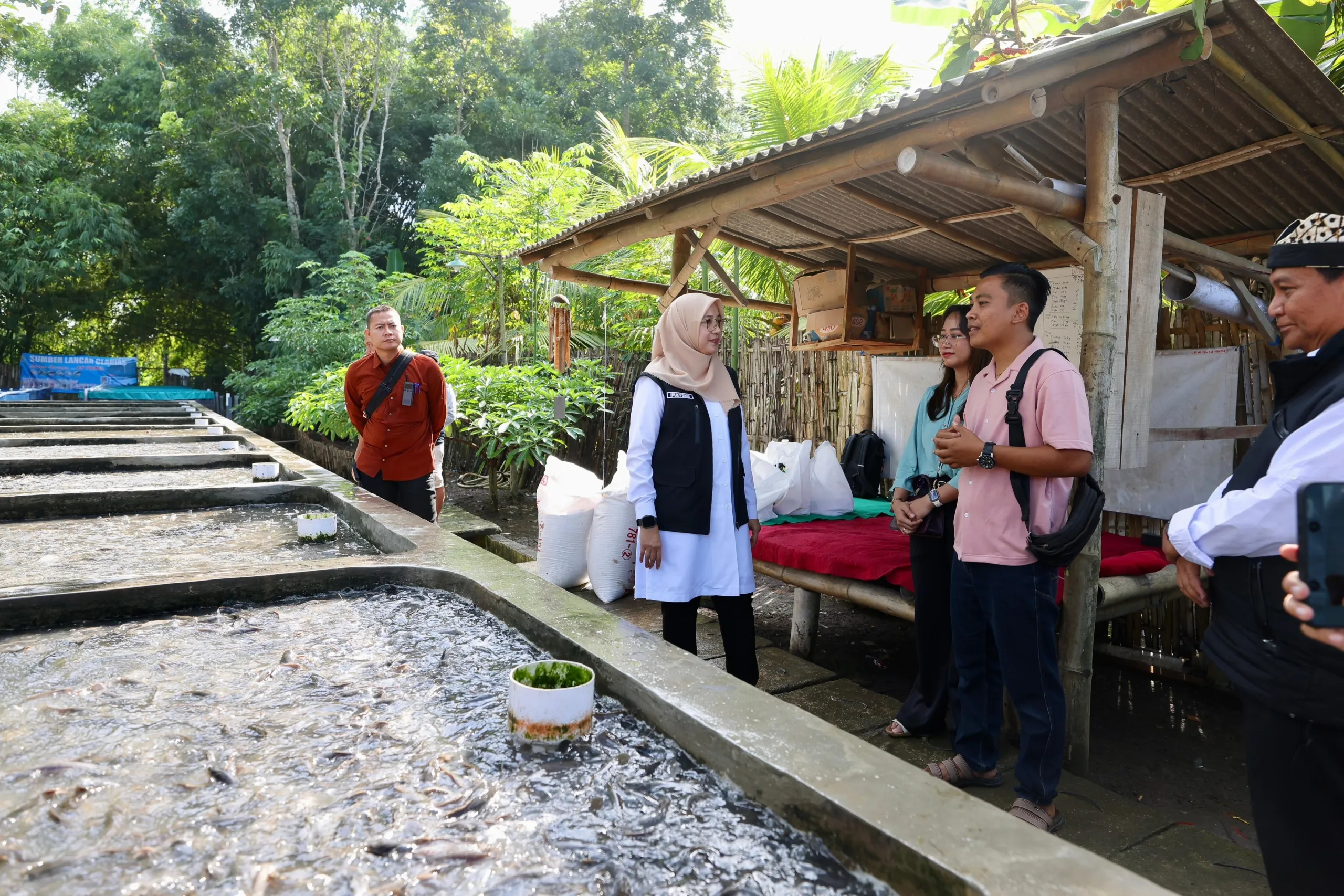 Dengan Teknik Air Jernih, Pemuda Desa di Banyuwangi Raup Omset Ratusan Juta dari Budidaya Lele