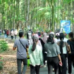 Dagangan Ludes dalam 1,5 Jam! Pedagang UMKM CFD Pasar Pinusan Banyuwangi Raup Omzet Jutaan Rupiah