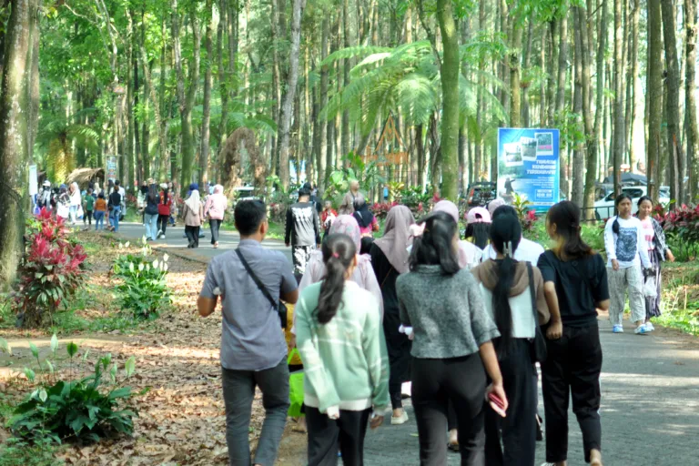 Dagangan Ludes dalam 1,5 Jam! Pedagang UMKM CFD Pasar Pinusan Banyuwangi Raup Omzet Jutaan Rupiah